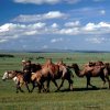 Mongolia_Camels_and_horses_a26e3ff611084f7b987719907c54ea7d.jpg