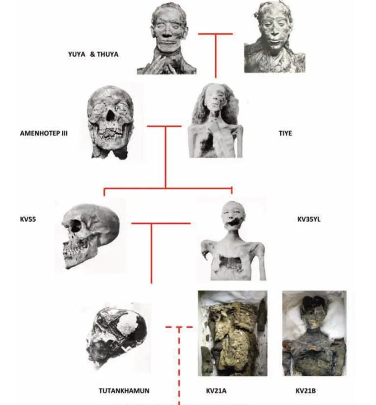 1788503810737.png