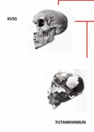 1788506459737.png