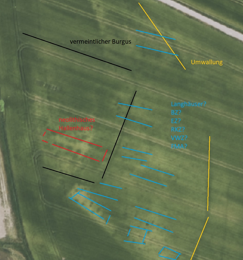 burgus oder Gartenzaun.jpg