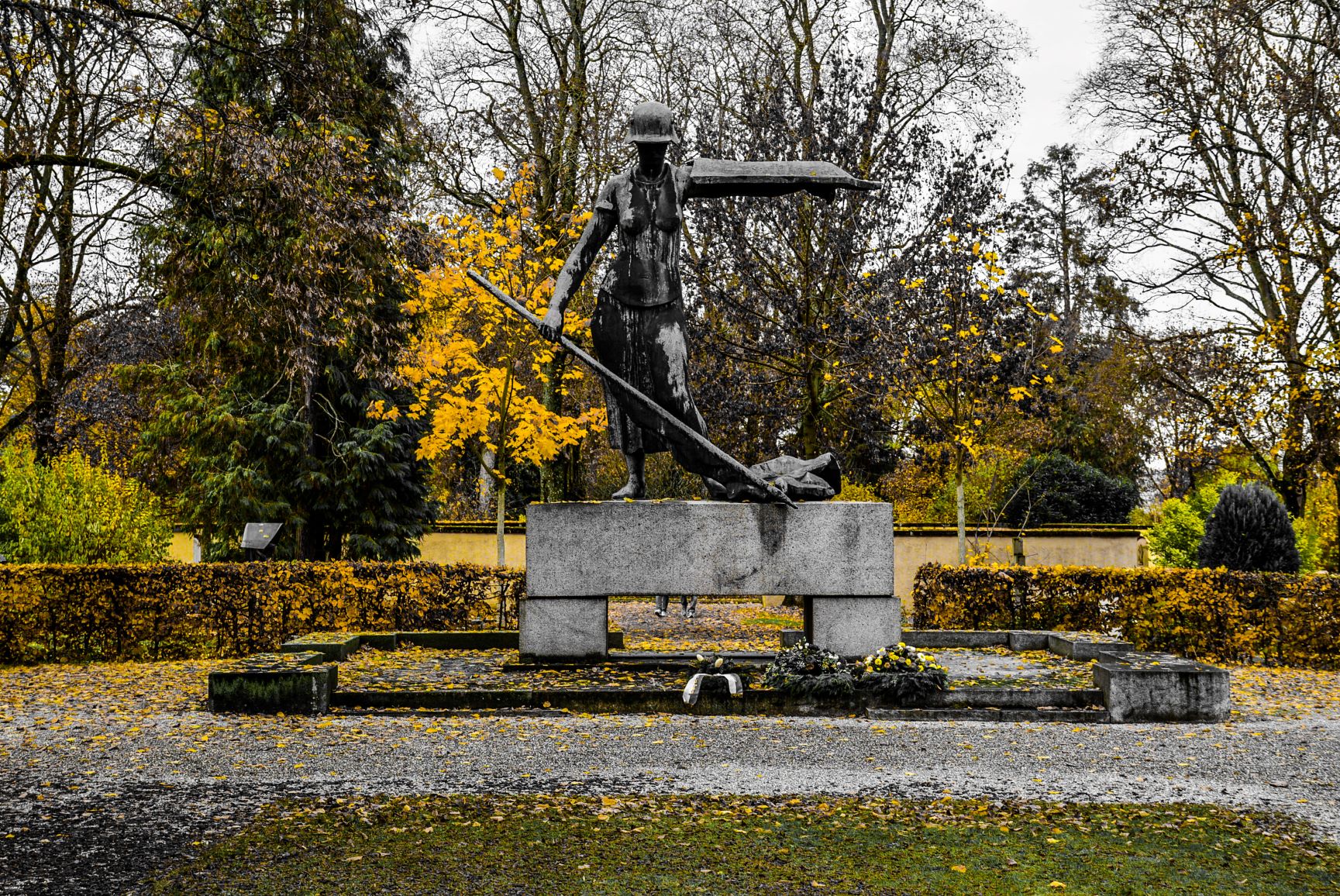 DSC_0474_edited_1.jpg