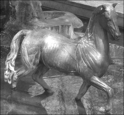 equus griseo.png