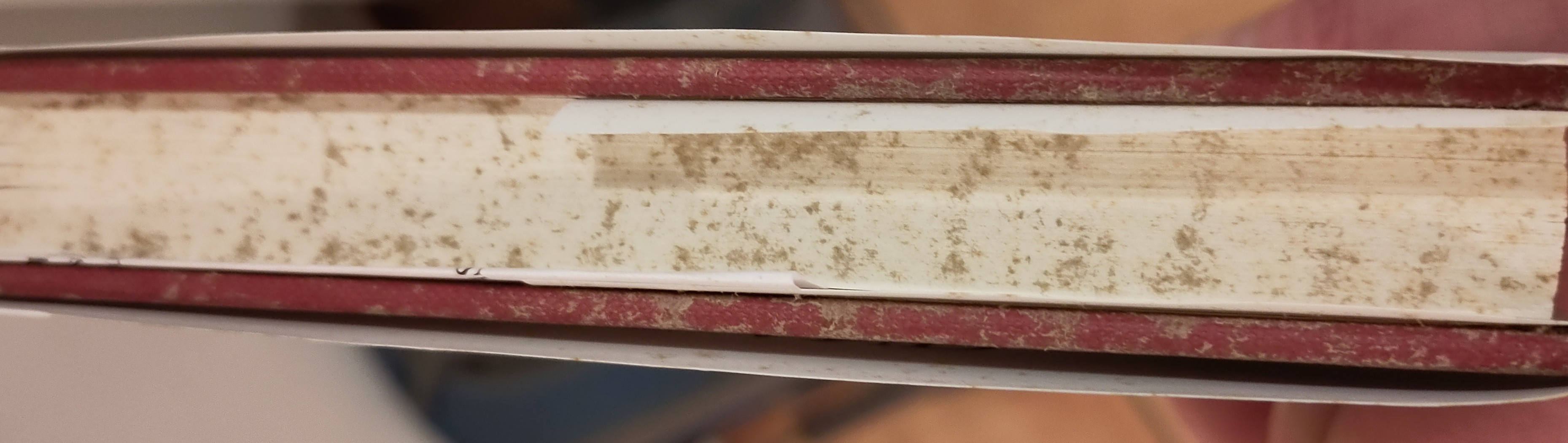 IMG_20230214_220434~2.jpg IMG_20230214_220434~2.jpg