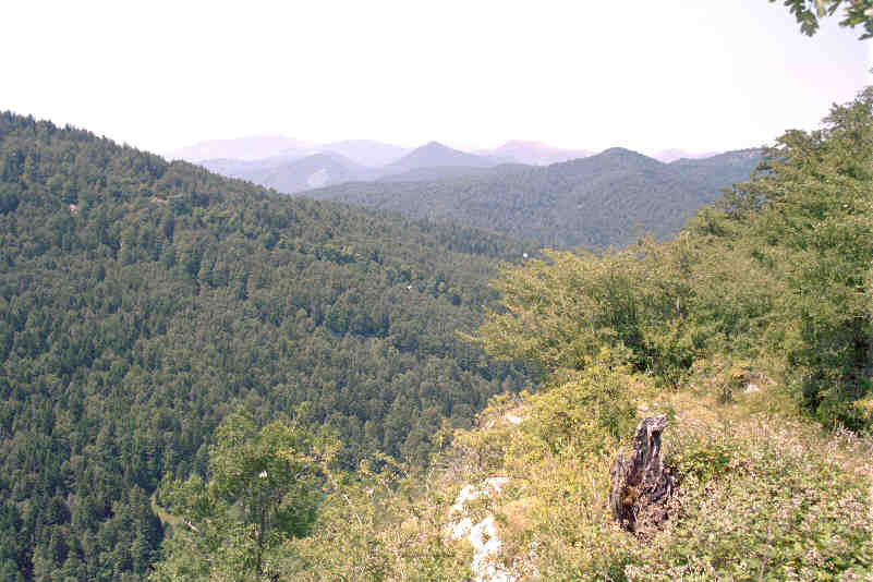 Irati_vista.jpg