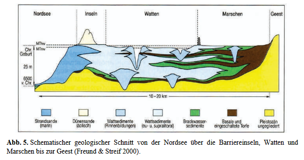 Screenshot 2025-11-07 at 19-35-01 Tuexenia-Beiheft_16_Gesamt_05-07-2024.pdf - Tuexenia-Beiheft...png