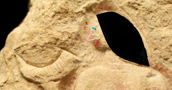 Venus-de-Laussel Interpretation.jpg