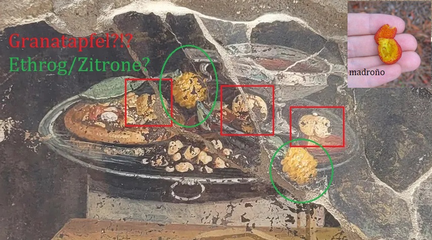 Was soll das sein2.jpg