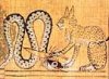 Katze vs. Apophis.jpeg