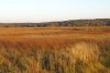 800px-RambowerMoor1.jpg