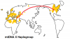 Xmtdna+map.png