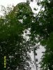 Landschaft-2.jpg