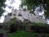 DSC00319.jpg