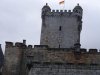 DSC00325.jpg