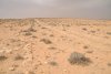 DSC_3587.jpg