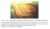 Screenshot_20230812-121654~2.png