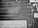 7424e5f2-32ad-440a-9ef3-c234633ff025.jpeg