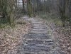 Bohlenweg Kalkriese.jpg