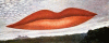 bilderrätsel.gif