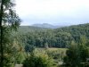 Blick in Thüringer Wald von meiner Hütte aus.JPG
