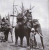 1880 siamesische elefanten.jpg