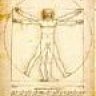 Heflo13