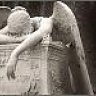 Fallen_Angel