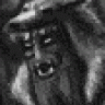 Berserkr