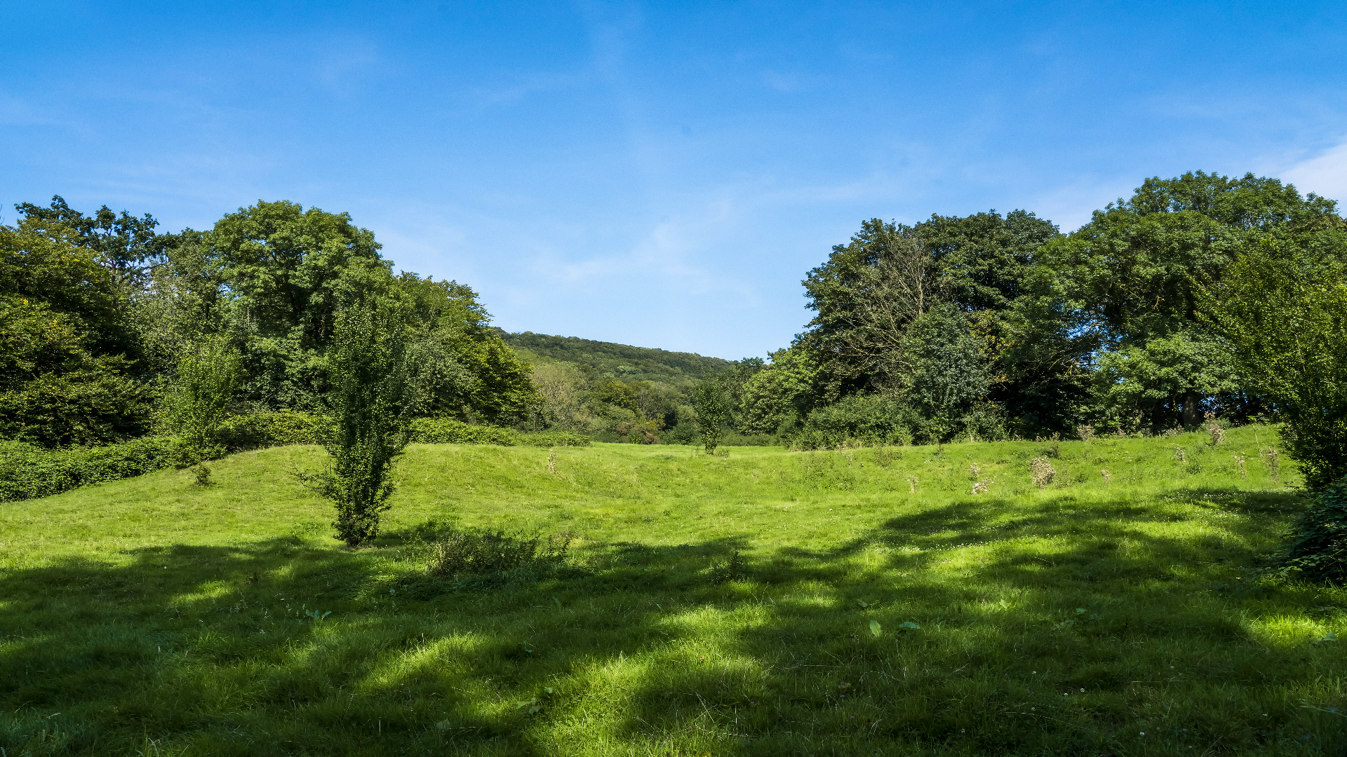 www.weserbergland-tourismus.de
