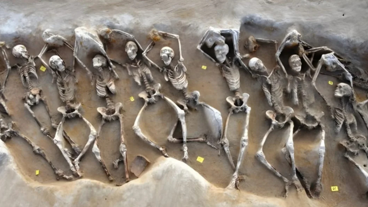 www.nordisch.info