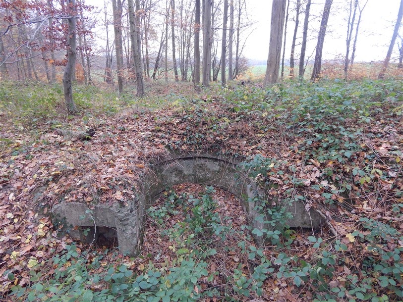 bunkerfreaks1.blogspot.com